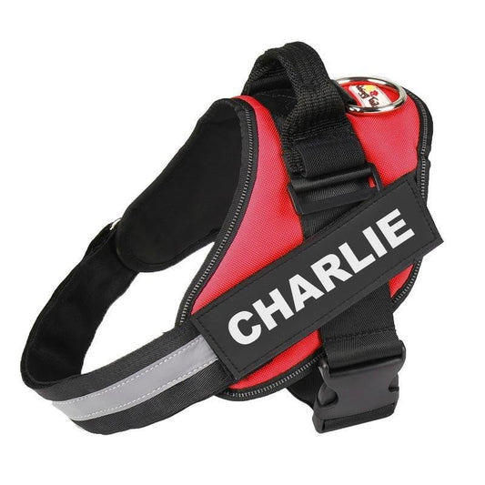 Personalised Dog Harness